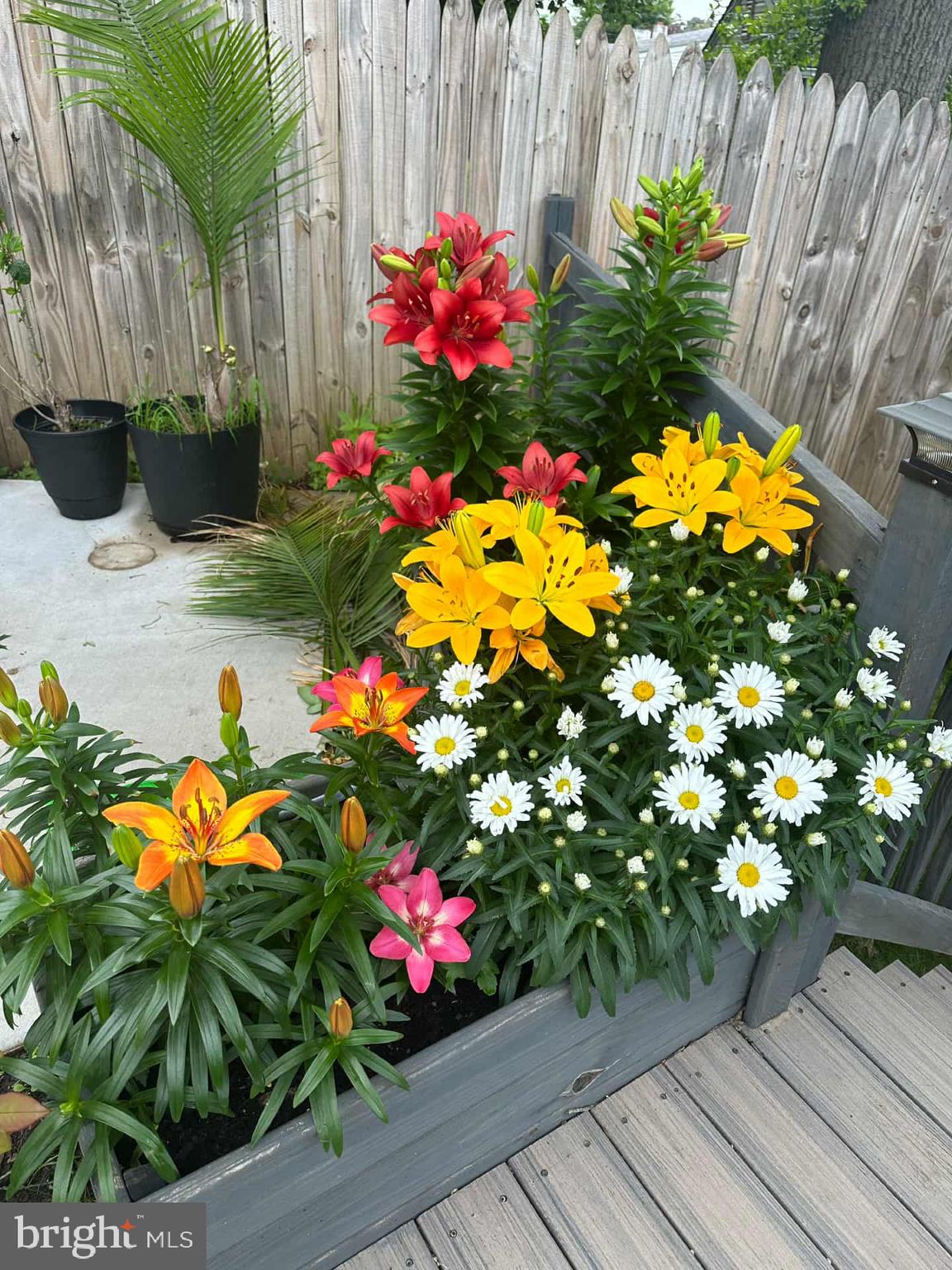 OXFORD VALLEY - Residential