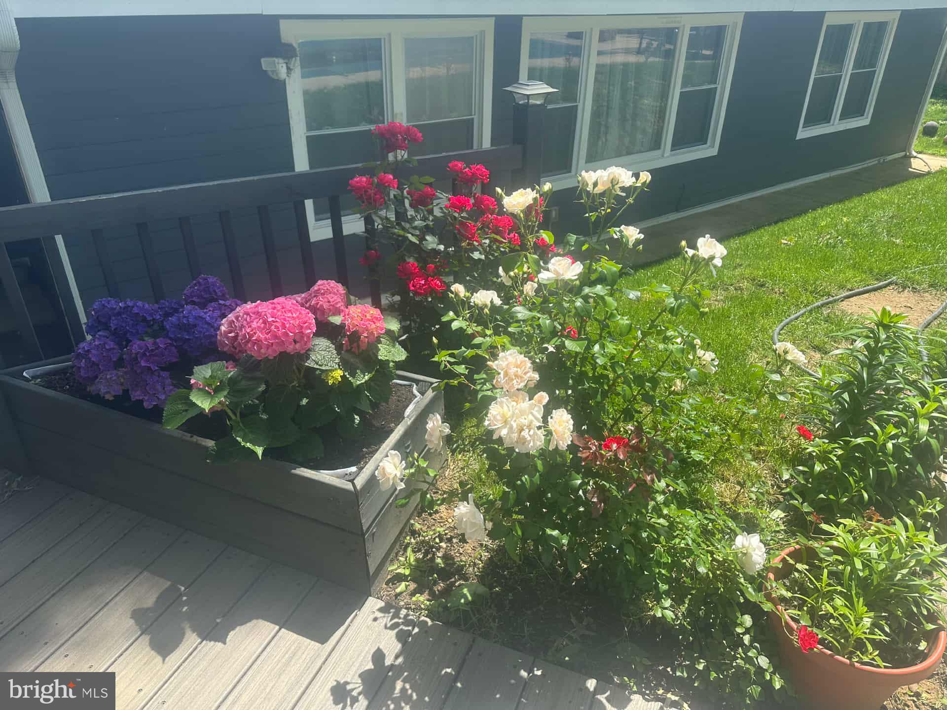 OXFORD VALLEY - Residential