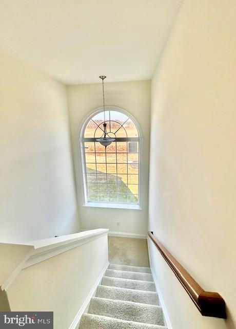 ELLENDALE - Residential Lease