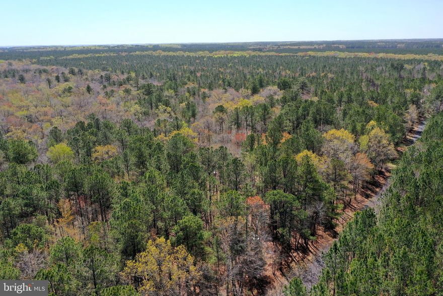 Located just a short drive from Ocean City beaches, this beautiful 5.12-acre lot in Snow Hill offers the perfect mix of privacy and convenience. Septic reserve approved and with no HOA, this property is ideal for building your dream home, setting up a weekend retreat, or enjoying as a private hunting spot. Surrounded by nature and abundant wildlife, it?s a rare opportunity to own land with endless possibilities in a prime location.