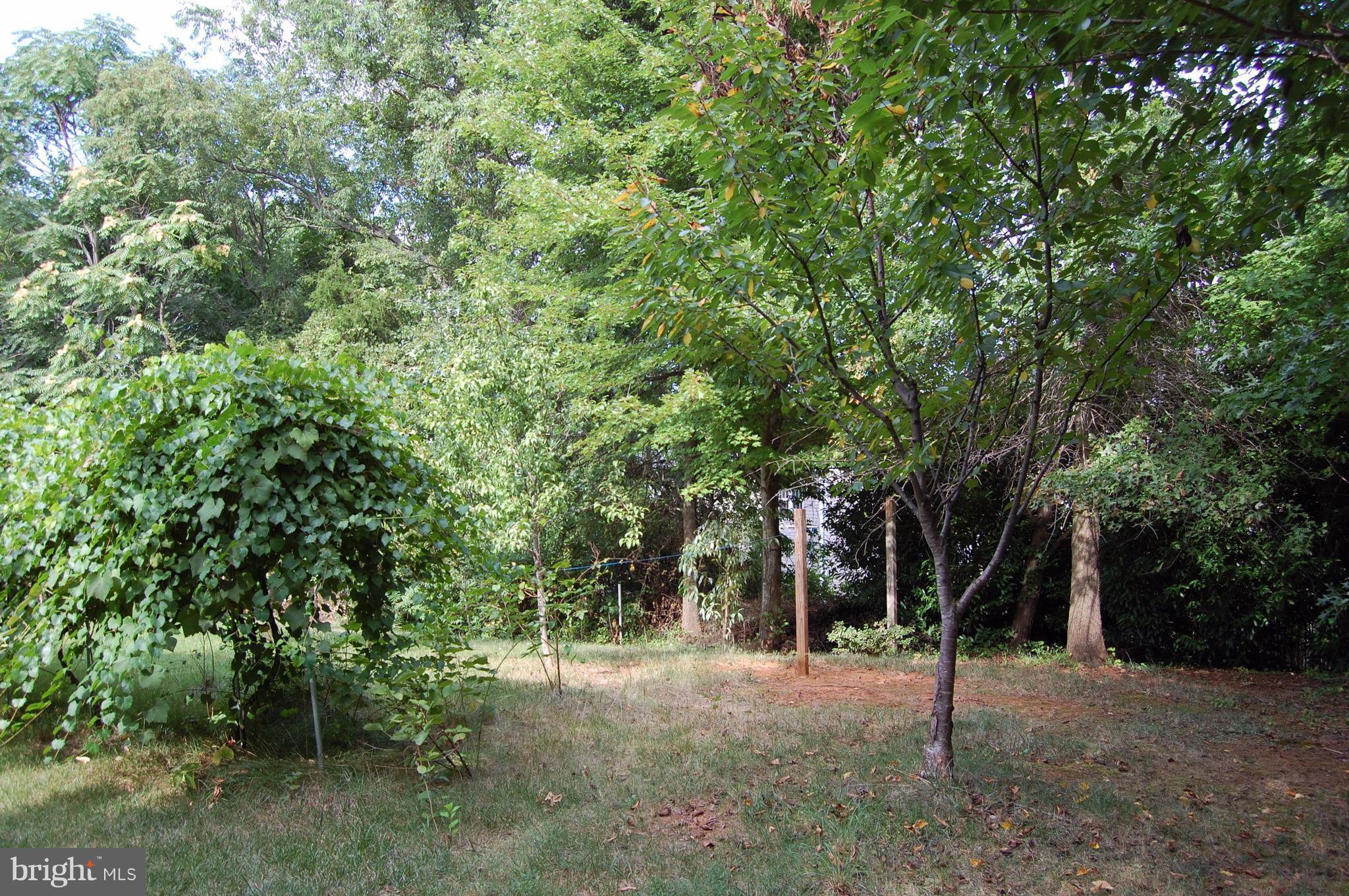 LAKEVIEW OF CULPEPER - Residential