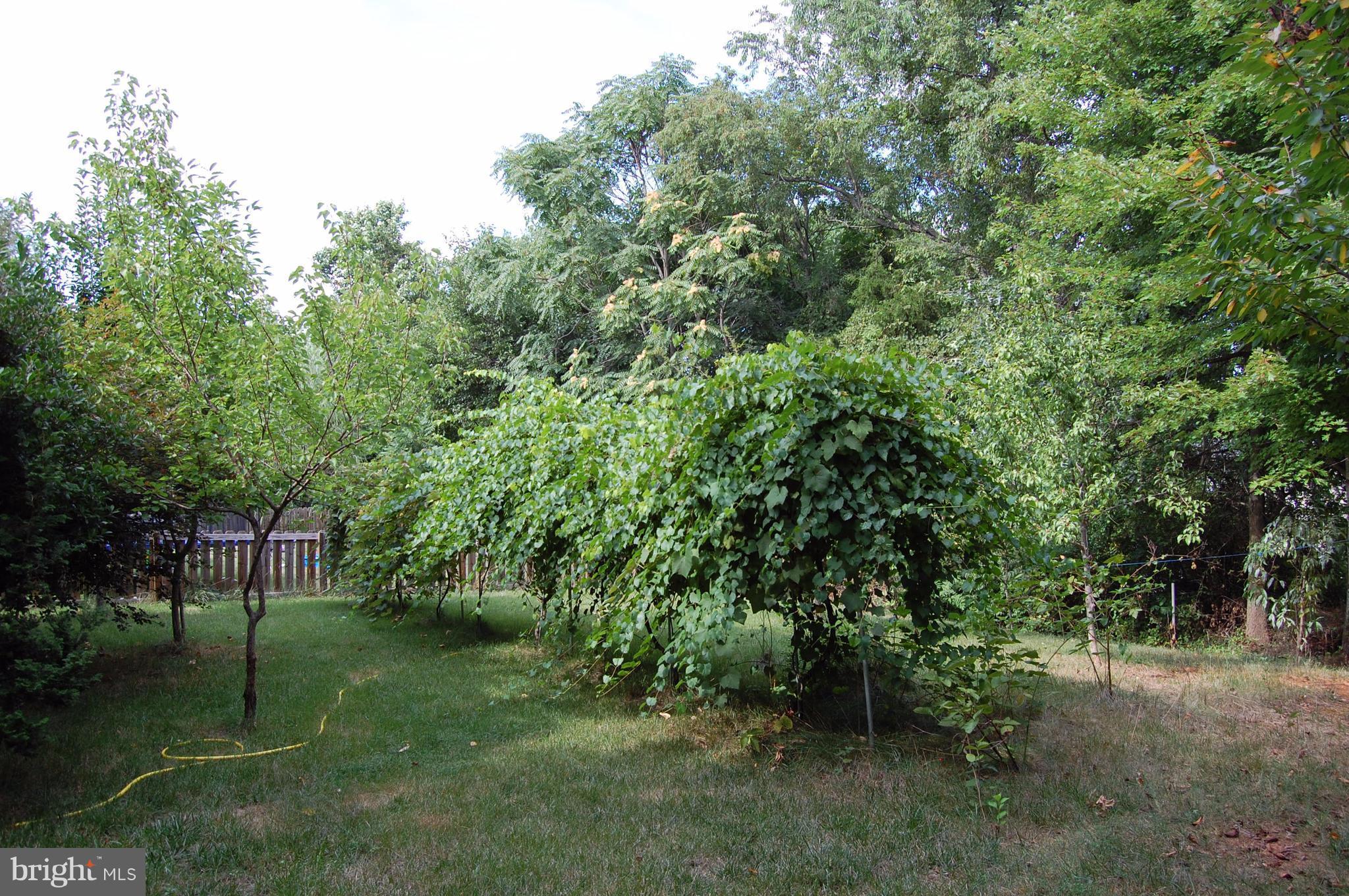 LAKEVIEW OF CULPEPER - Residential