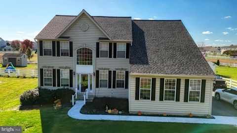 24875 RIVERS EDGE ROAD MILLSBORO DE 19966