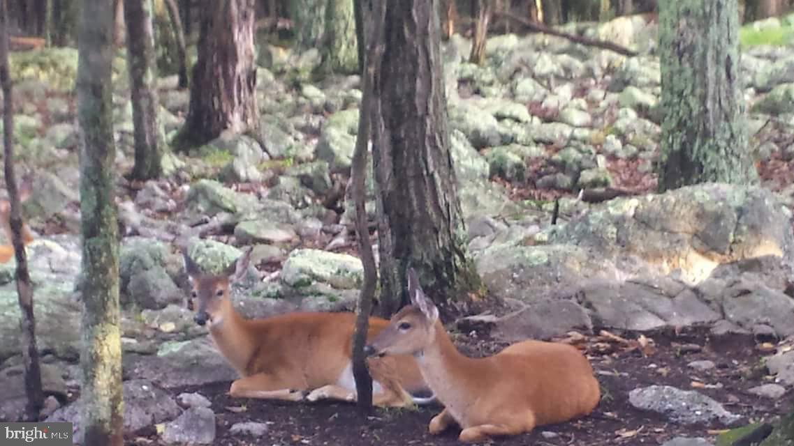 EAGLE ROCK RESORT - Residential