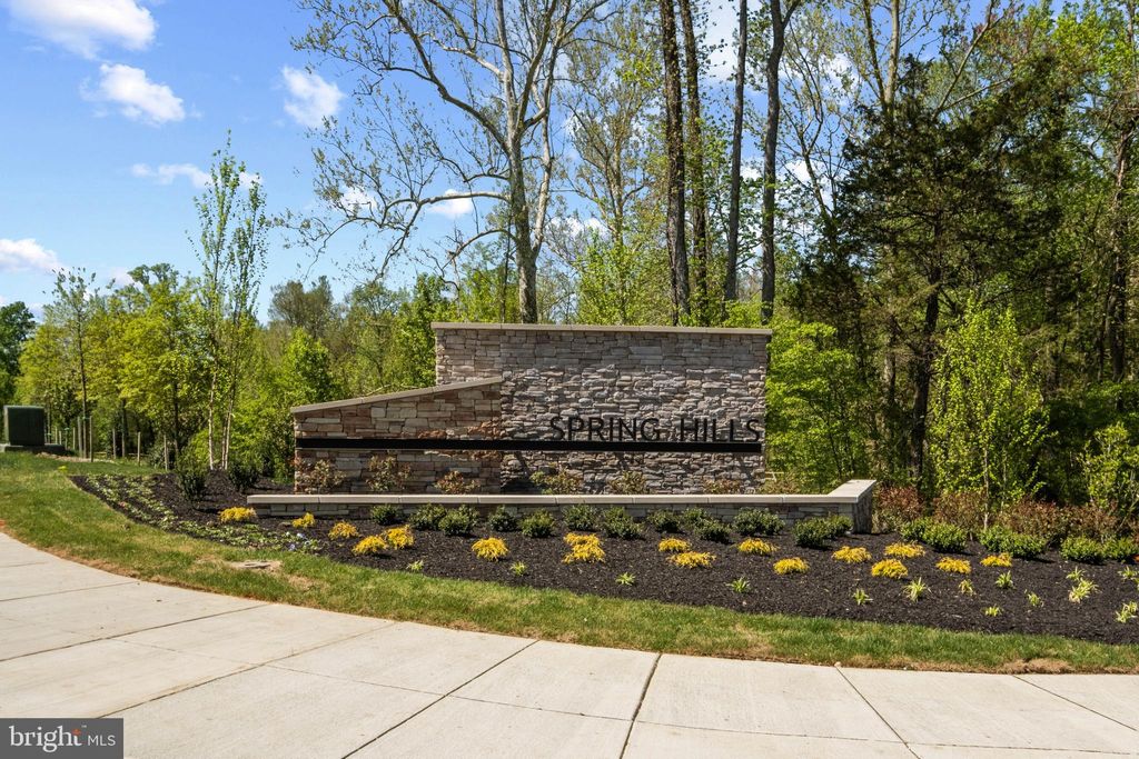 listing image 49