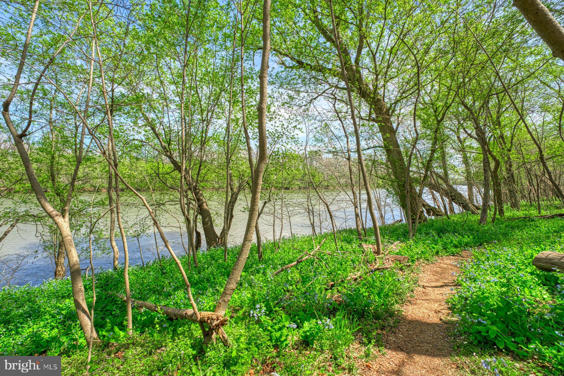 CARRWOOD ESTATES - Land