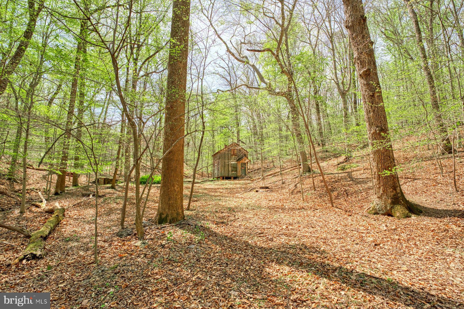 CARRWOOD ESTATES - Land