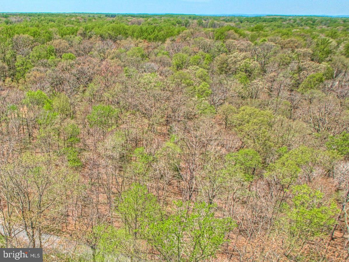 CARRWOOD ESTATES - Land