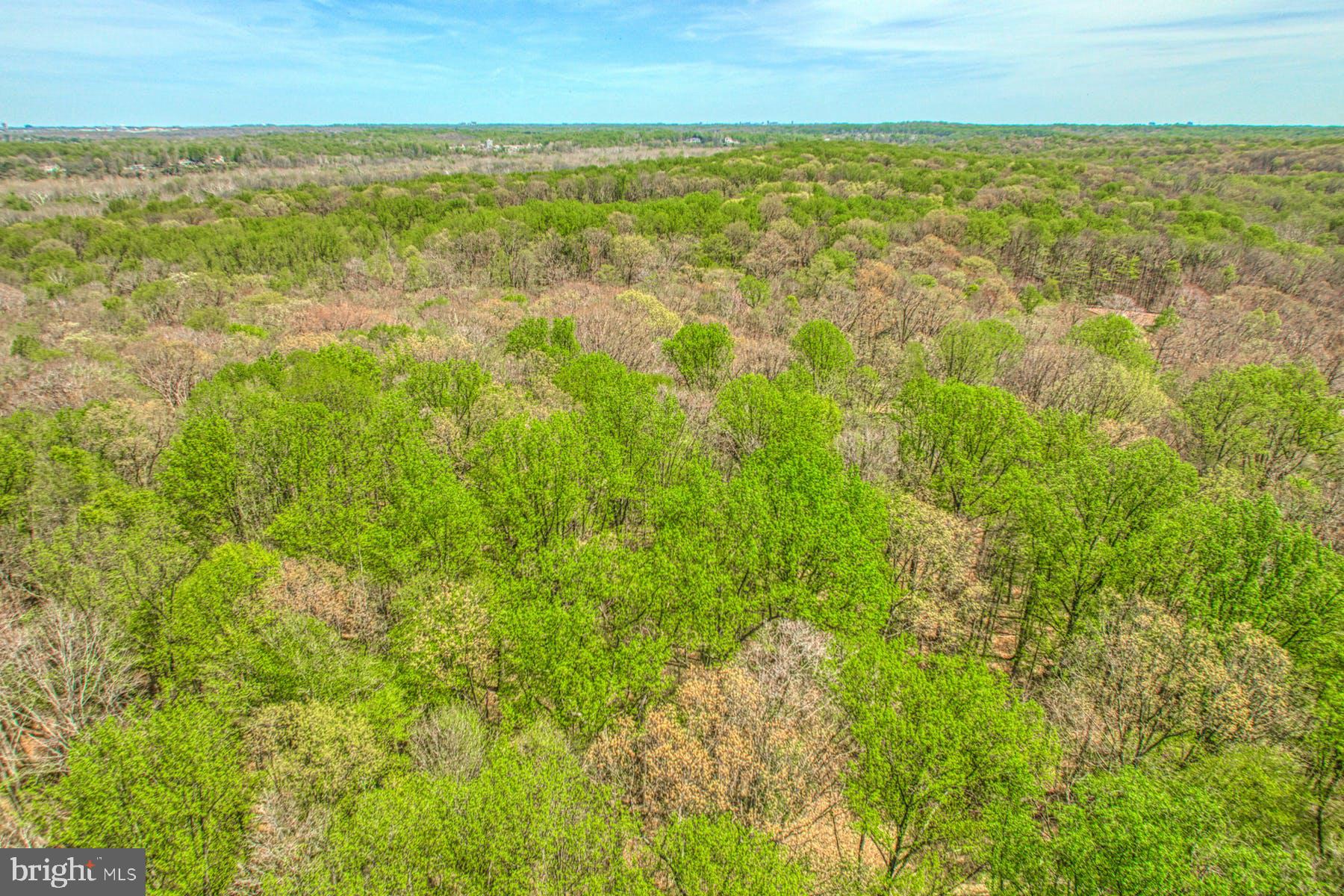 CARRWOOD ESTATES - Land