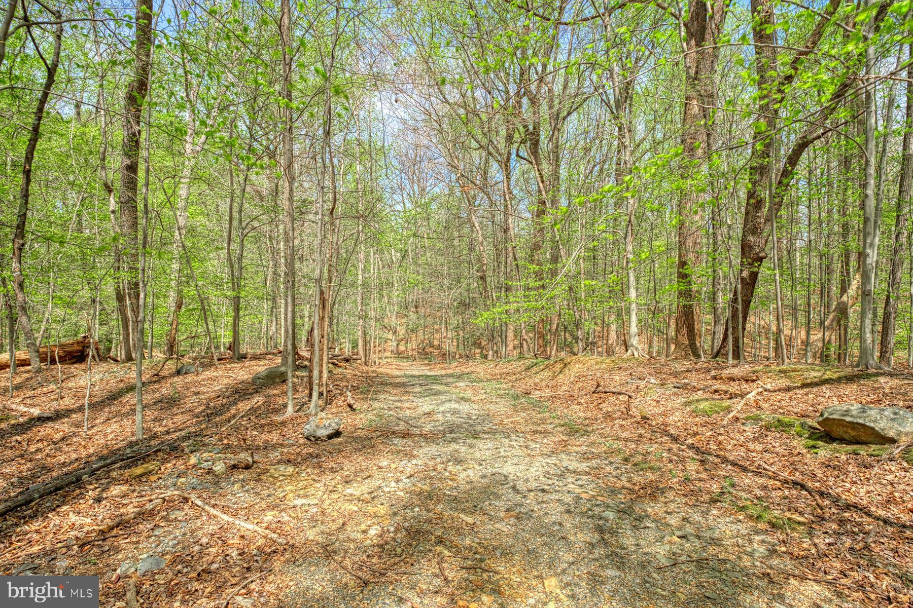 CARRWOOD ESTATES - Land