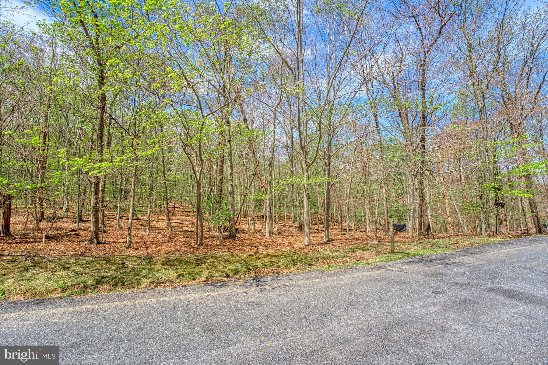 CARRWOOD ESTATES - Land