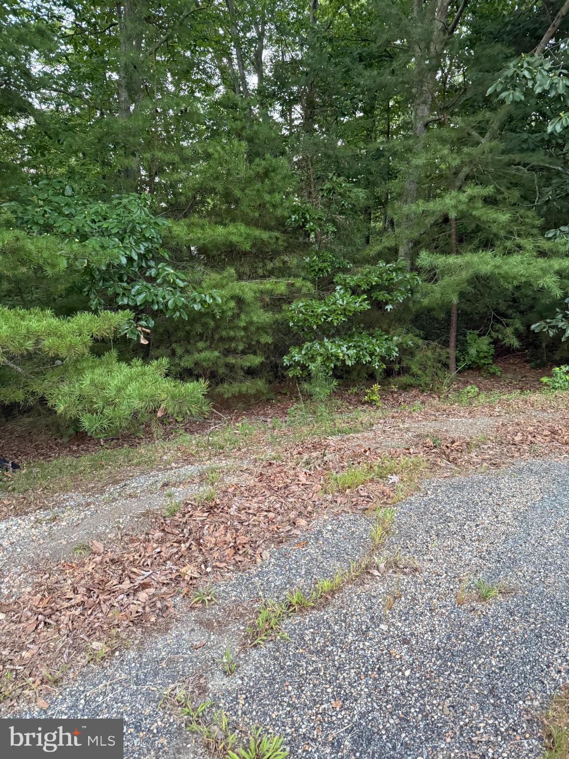 STRATFORD HARBOUR - Land