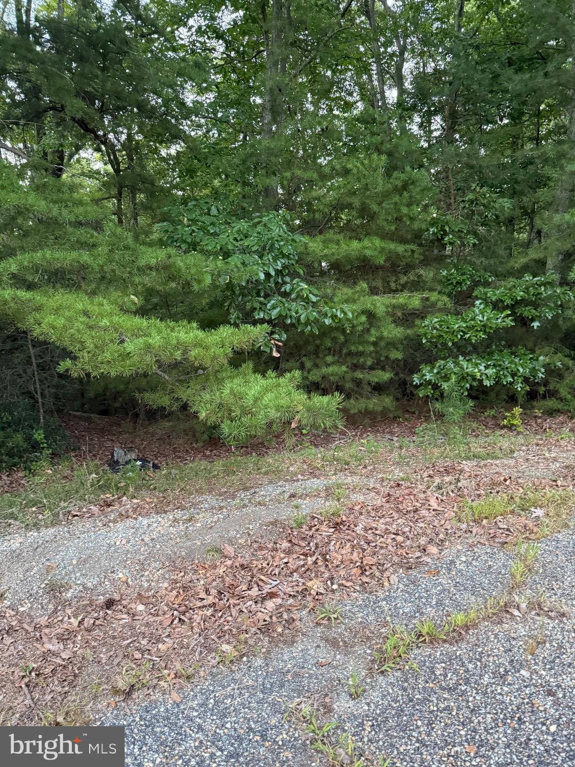 DOUBLE LOT ON QUIET STREET IN THE COMMUNITY OF STRATFORD HARBOUR. ALMOST AN ACRE OF LAND FOR YOUR BUILDING DESIRES. PRIOR PERK PER WESTMORELAND HEALTH DEPARTMENT ON LOT 39. COME DOWN AND SEE THE PROPERTY SO THAT YOU CAN BE ENJOYING THIS HIDDEN GEM. COMMUNITY HAS CLUBHOUSE, SWIMMING POOL, TENNIS AND PICKLE BALL COURTS, TOT PLAYGROUND, MARINA AND BEACHES ON LAKE INDEPENDENCE AND POTOMAC RIVER. ENJOY WALKING OF MORNINGS WITH THE STRATFORD STRIDERS WHEN WEATHER PERMITS AND OTHER ACTIVITIES LIKE WATER AEROBTICS IN THE SUMMER. LIVE YEAR ROUND OR VACATION HOME AWAITS YOU.