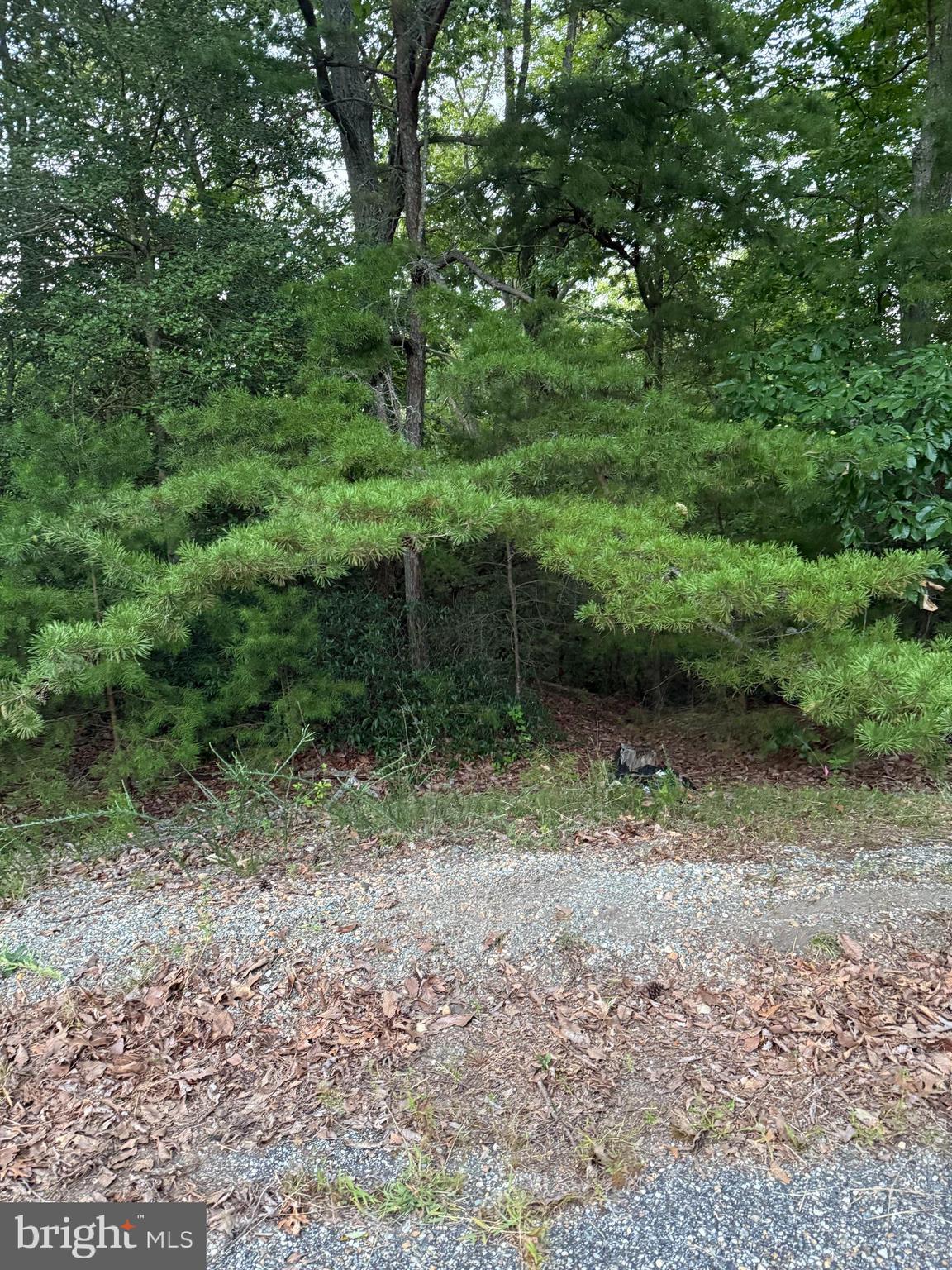 STRATFORD HARBOUR - Land