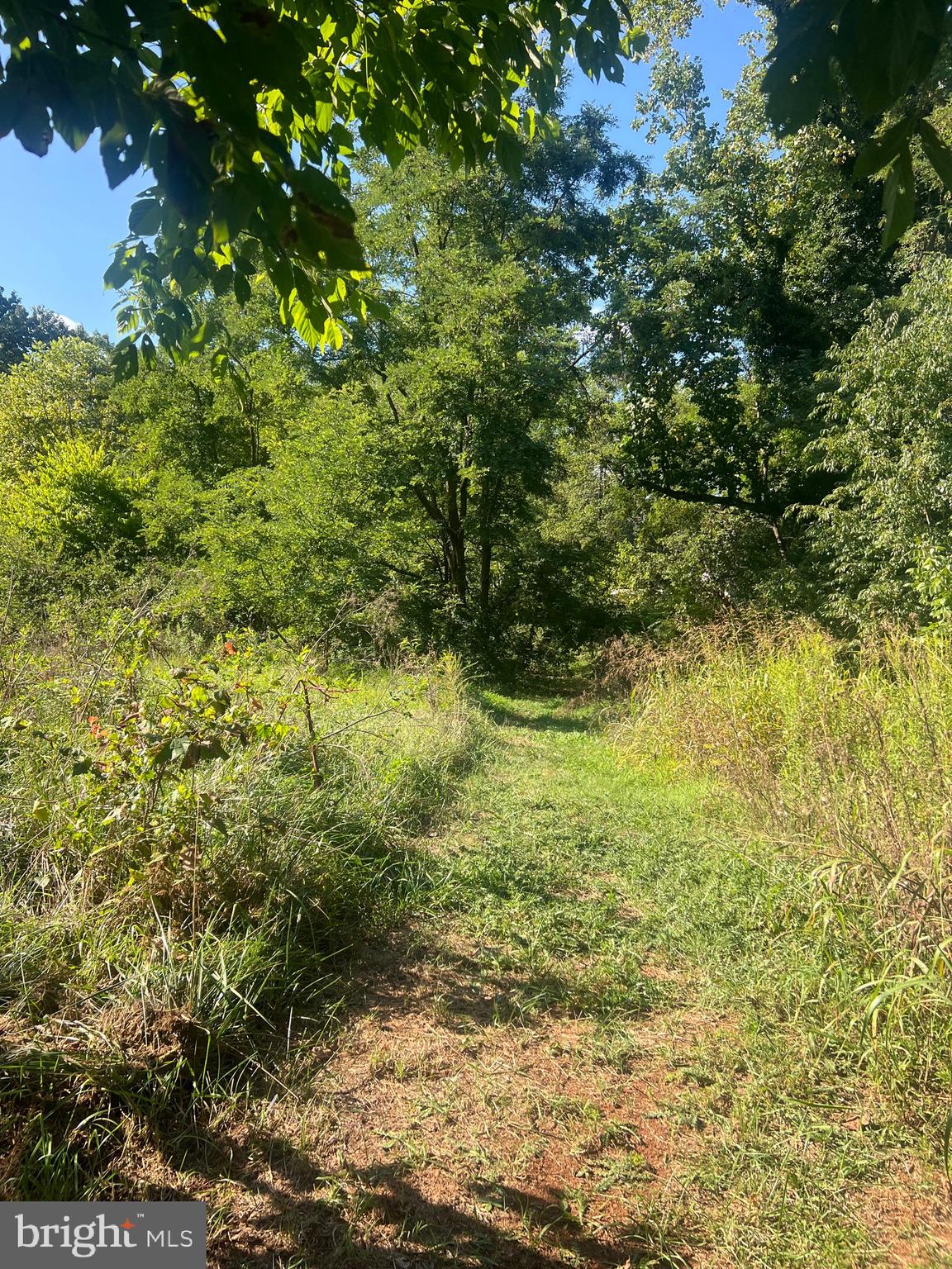 JAMES MADISON HIGHWAY