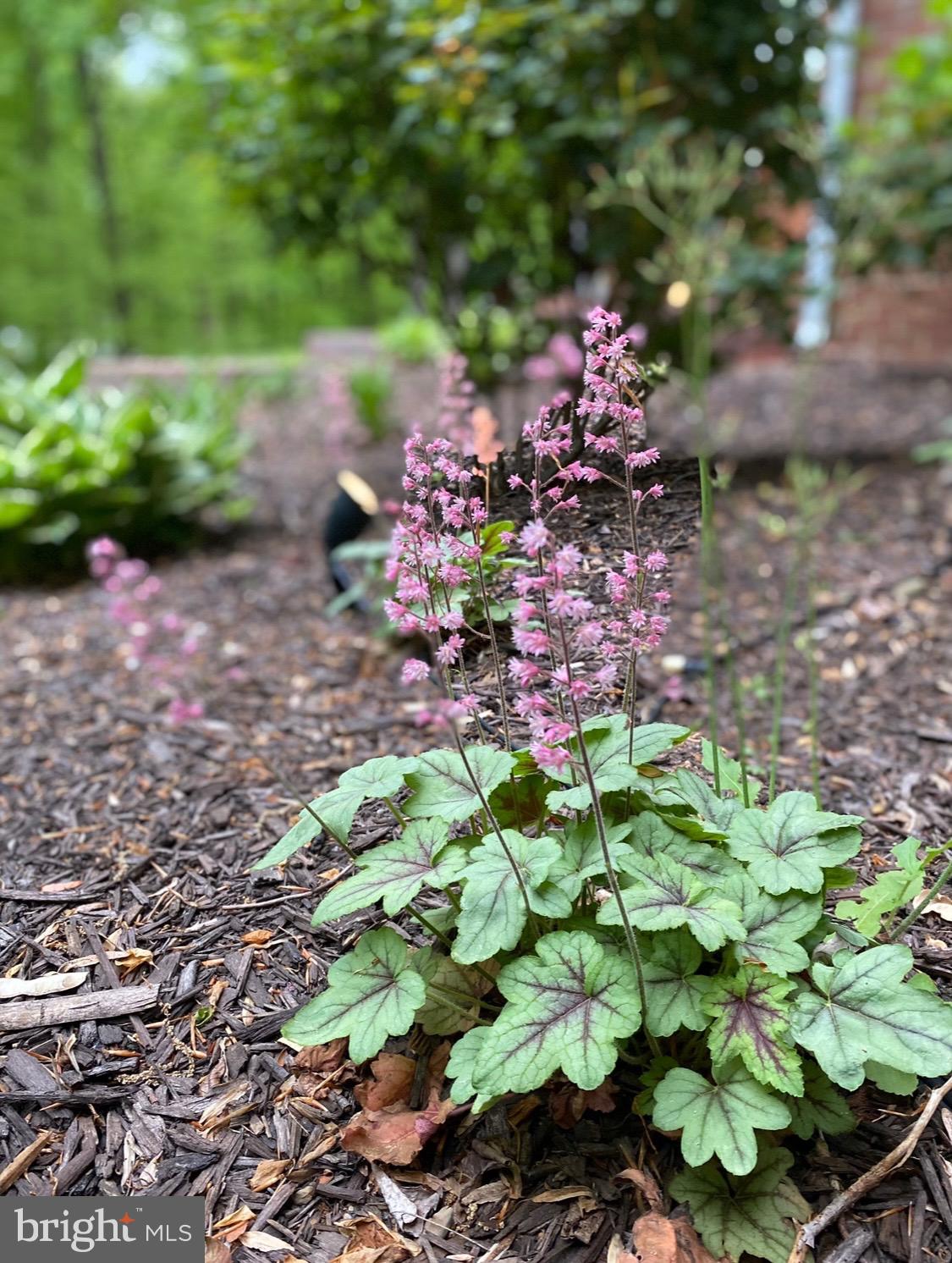 MARSHALL ESTATES - Residential