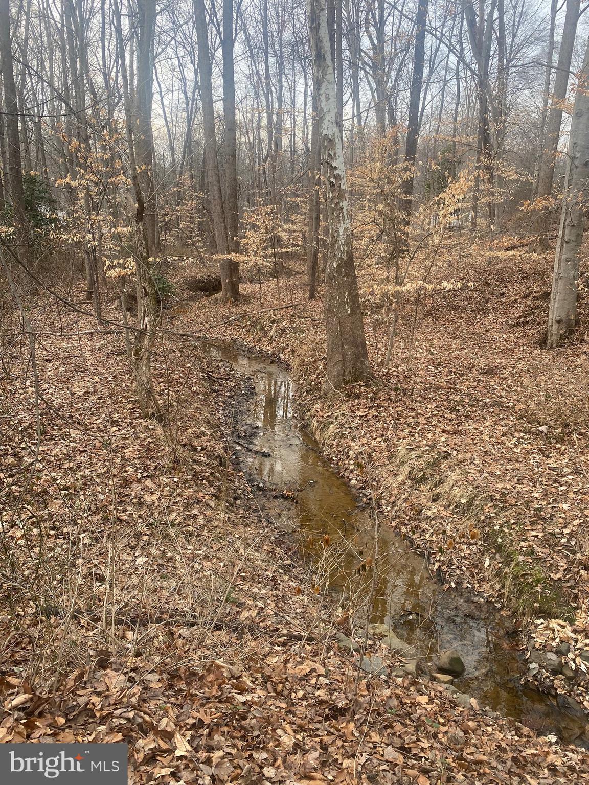 MARSHALL ESTATES - Residential