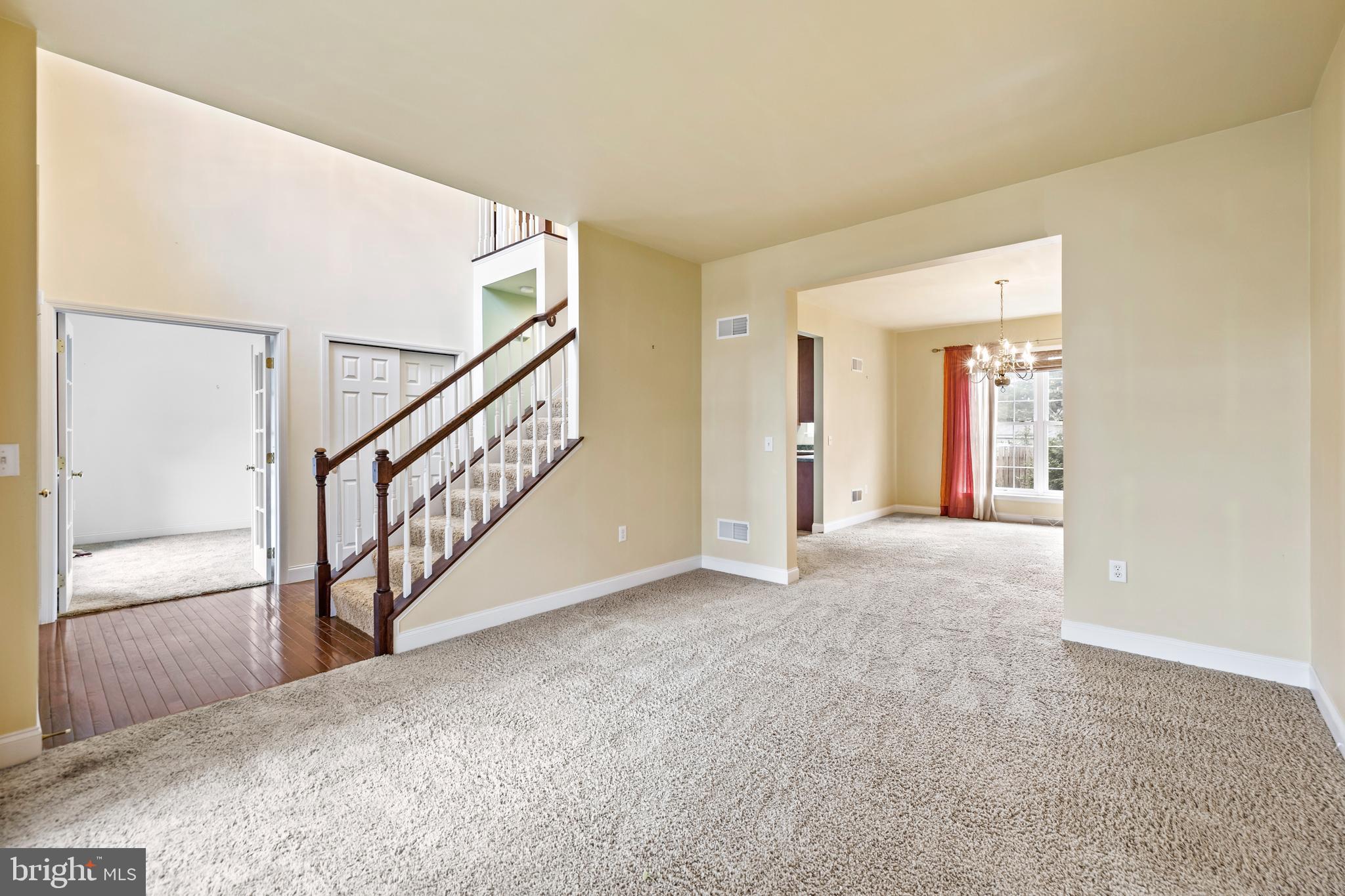 THE LAKES AT DONEGAL SPRINGS - Residential