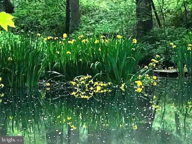 HIGHLAND - Residential