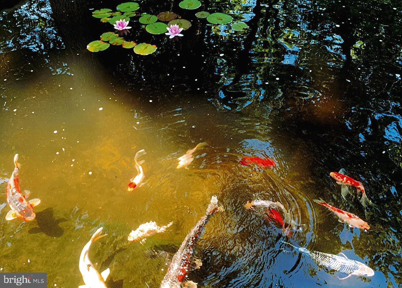 HIGHLANDS - Residential