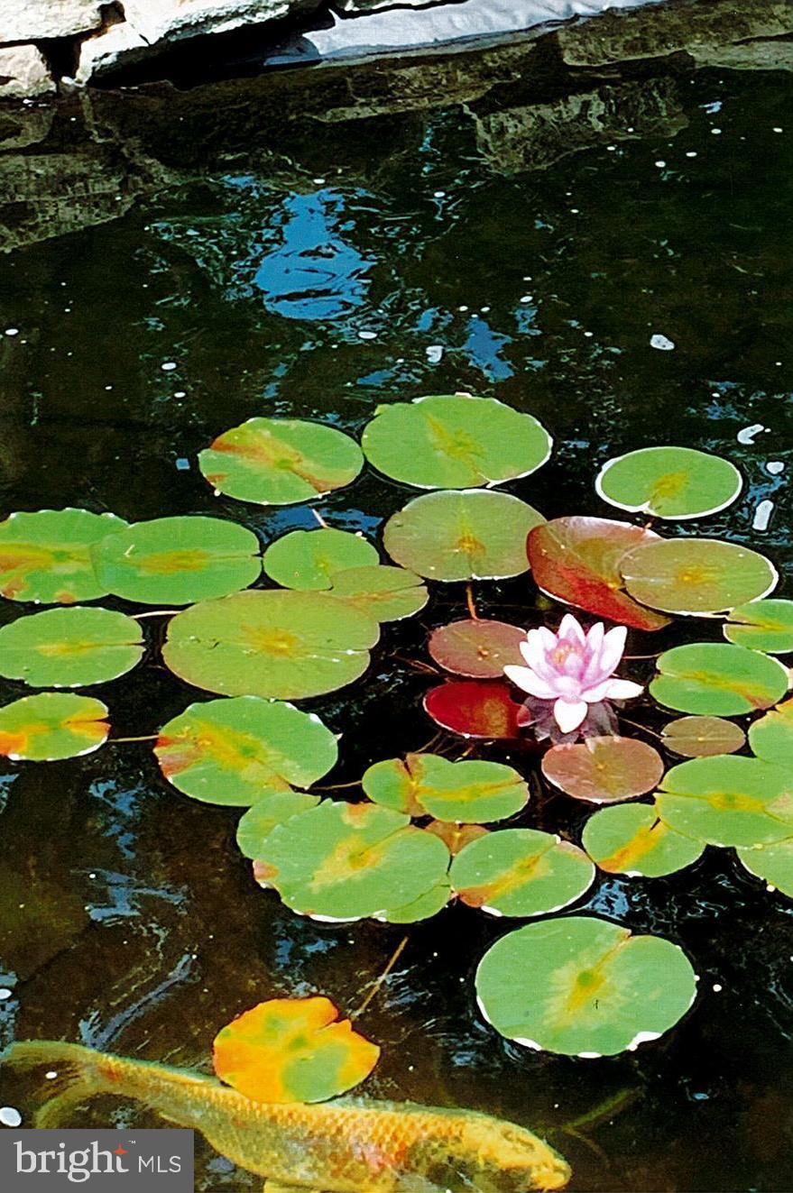 HIGHLANDS - Residential