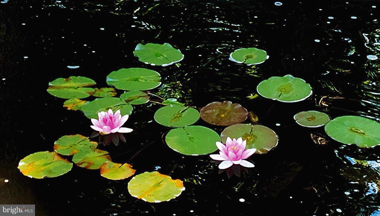 HIGHLANDS - Residential