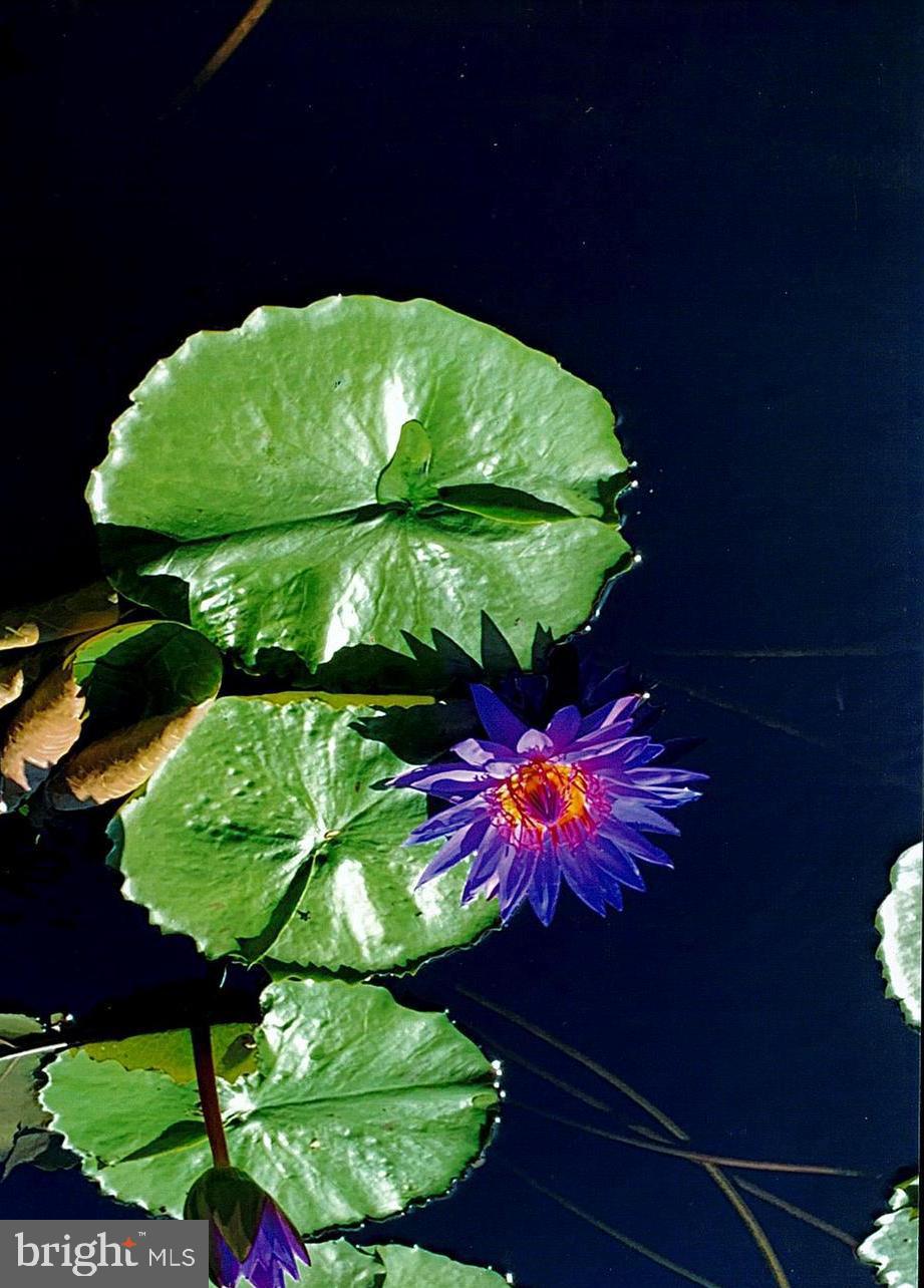 HIGHLANDS - Residential