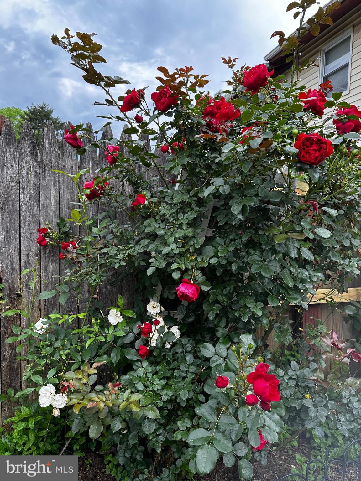 TOWNE CREST - Residential