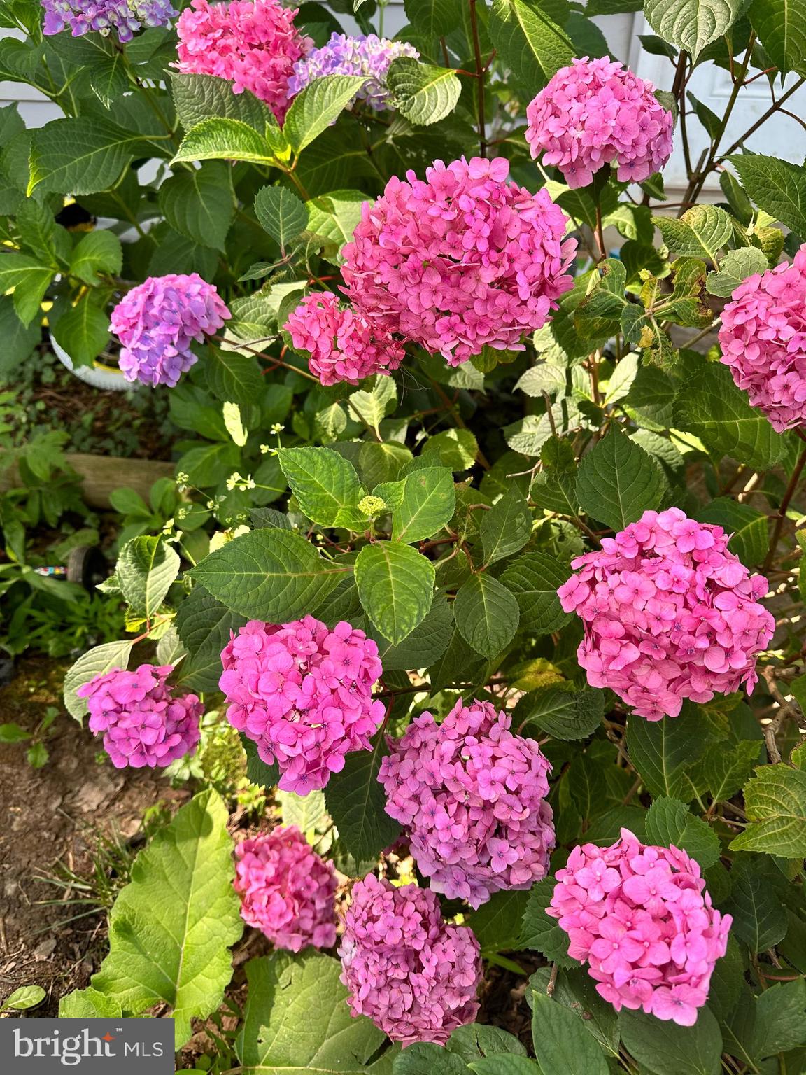 TOWNE CREST - Residential