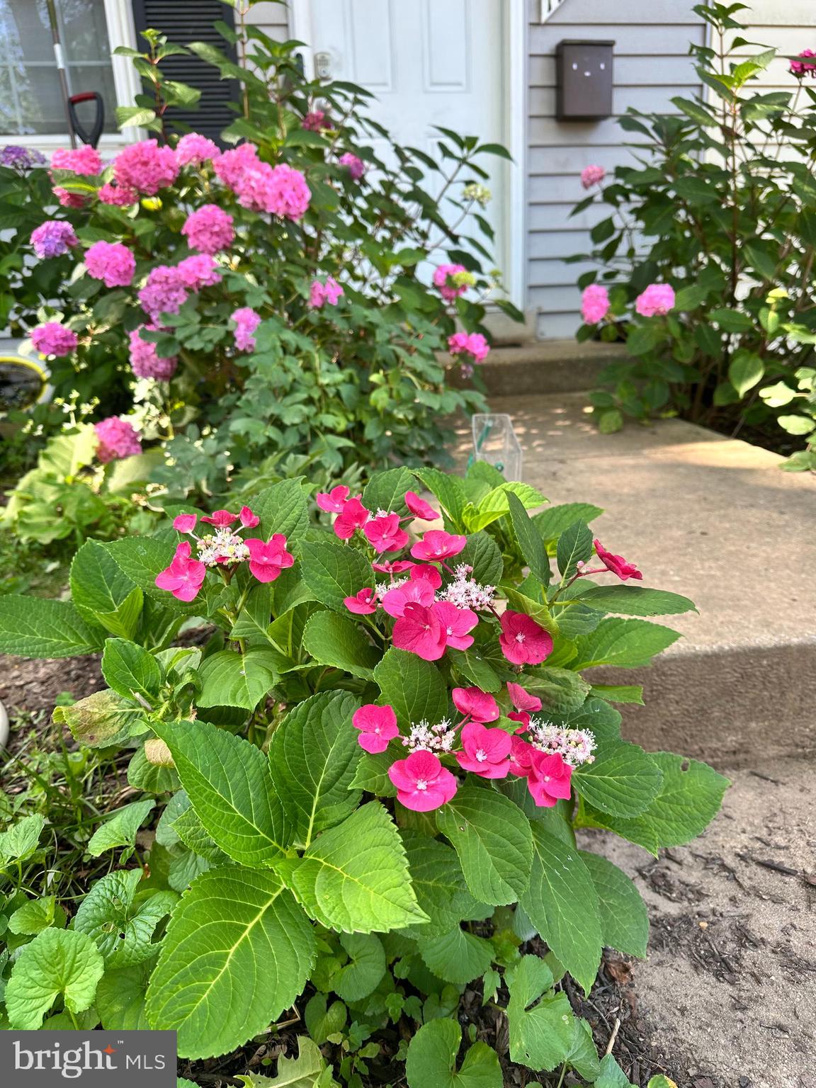 17736 LARCHMONT TERRACE