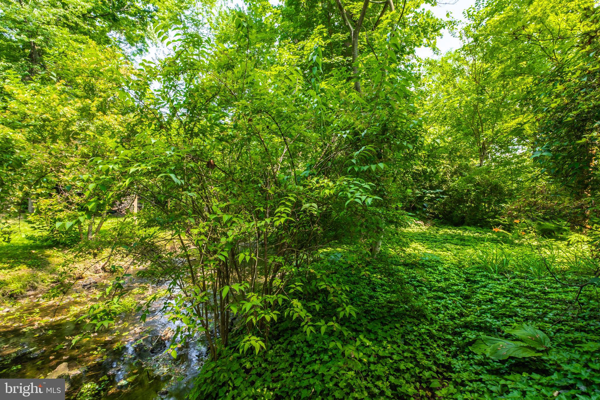 WYNNEWOOD - Residential