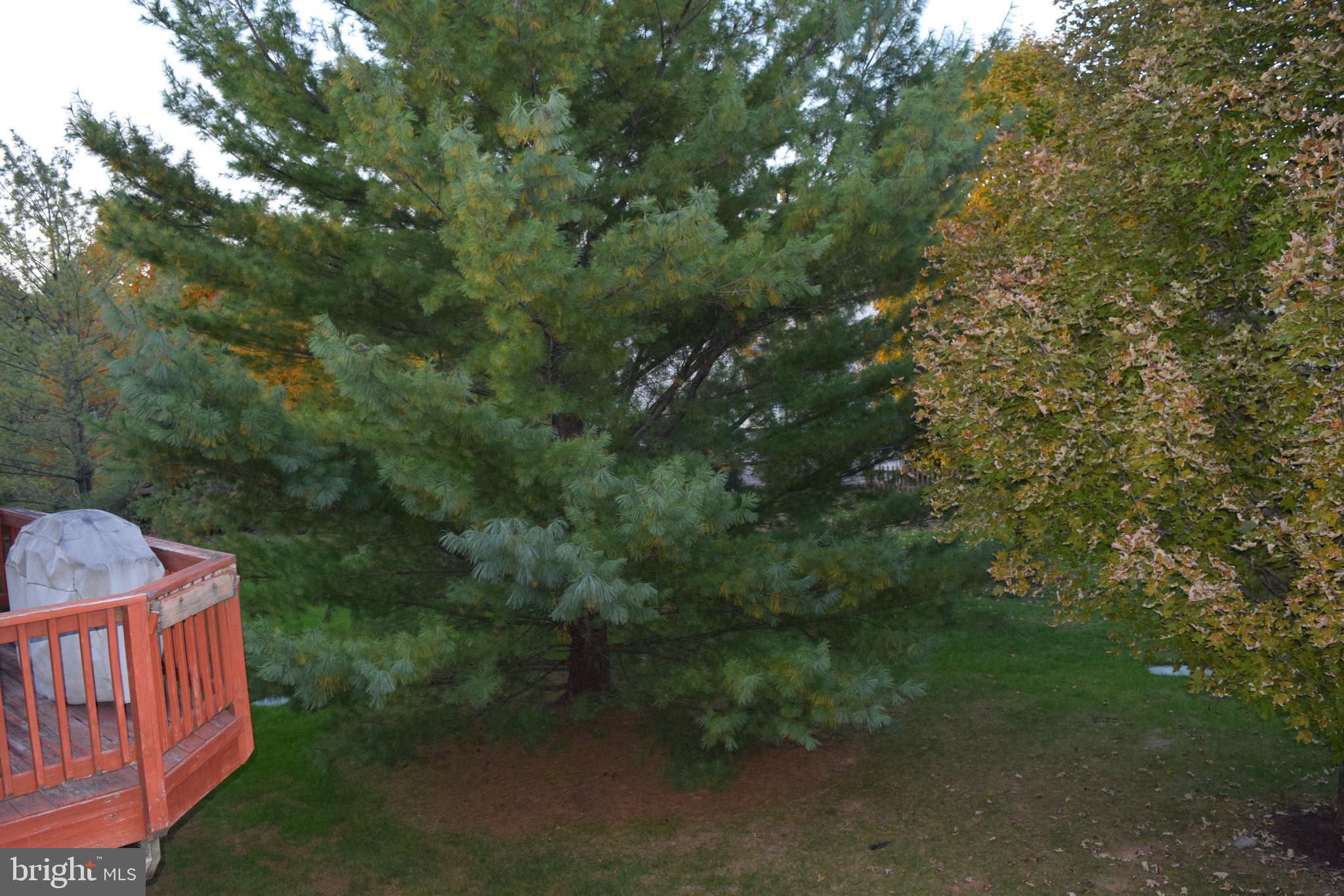 KINGSVIEW RIDGE - Residential Lease