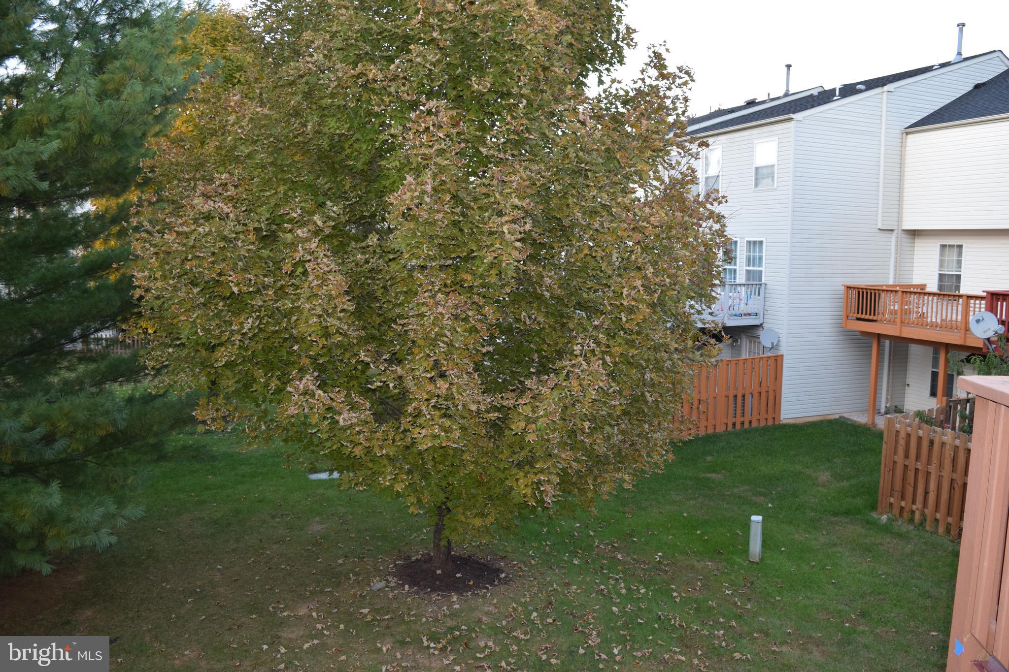 KINGSVIEW RIDGE - Residential Lease