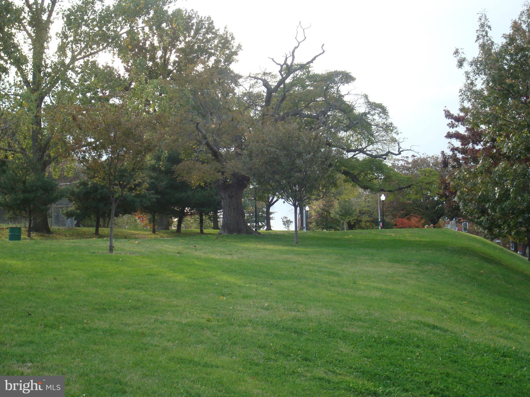 BUTCHER'S HILL - Residential