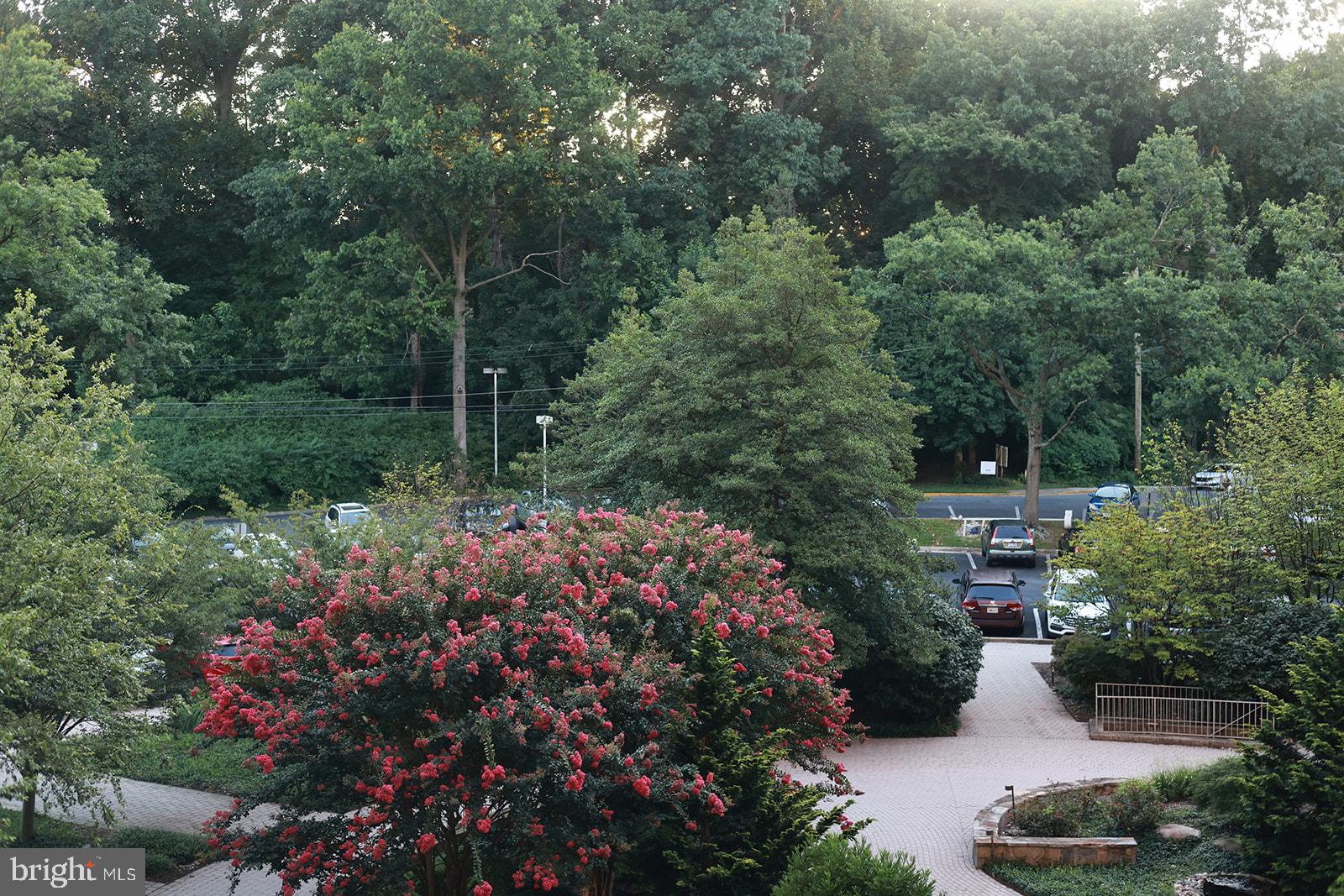 SILVER SPRING - Residential