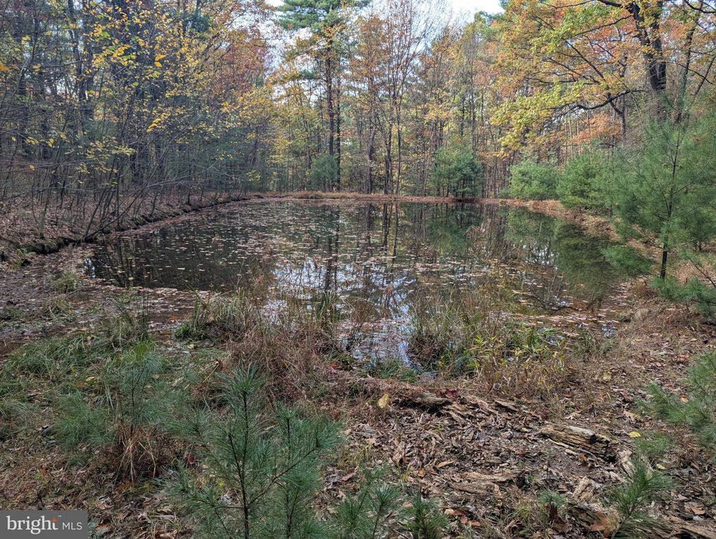 Photo of 7 Community Pond Dr, CATAWISSA, PA 17820 (MLS # PACO2000584)