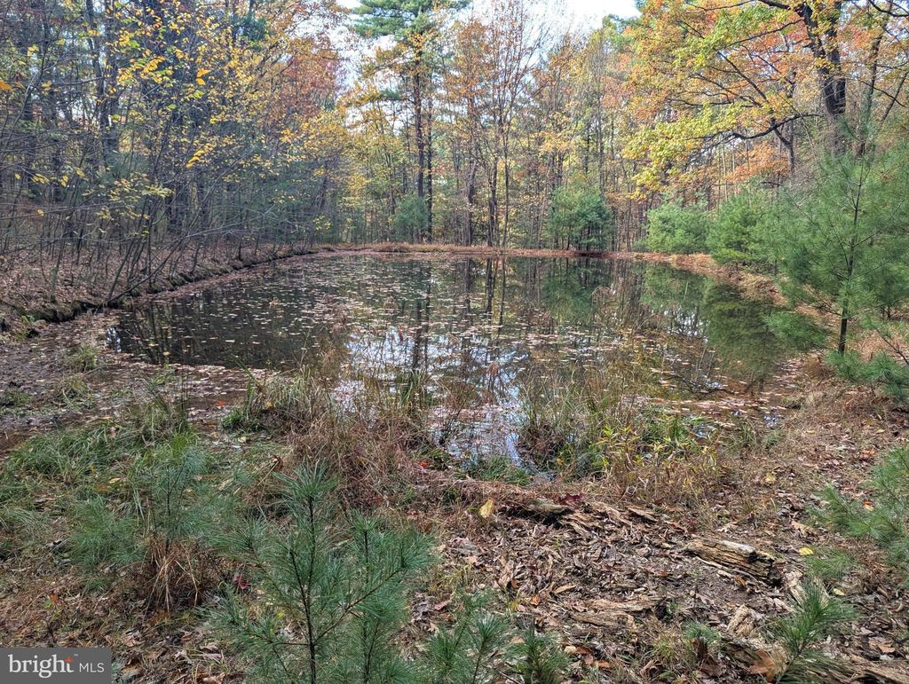 Photo of 7 Community Pond Dr, CATAWISSA, PA 17820 (MLS # PACO2000584)