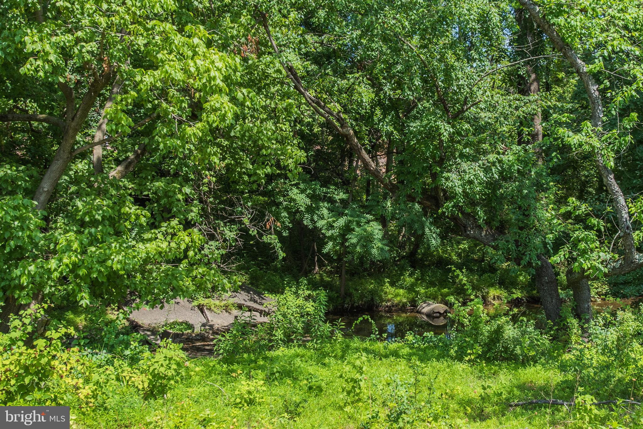 DOWNINGTOWN WALK - Residential