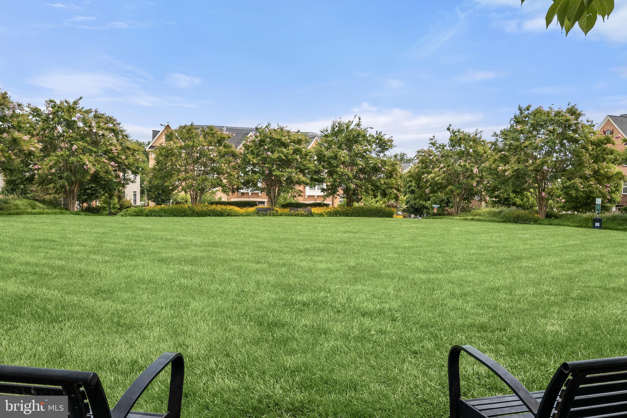 MAPLE LAWN - Residential