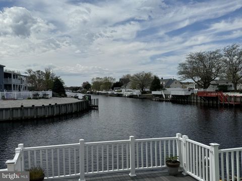 listing image 50