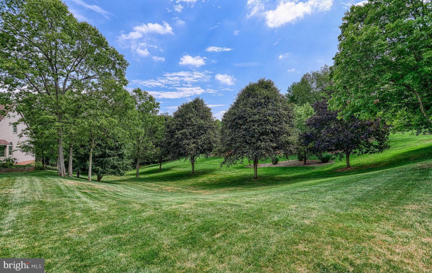 HEDGEROW - Residential