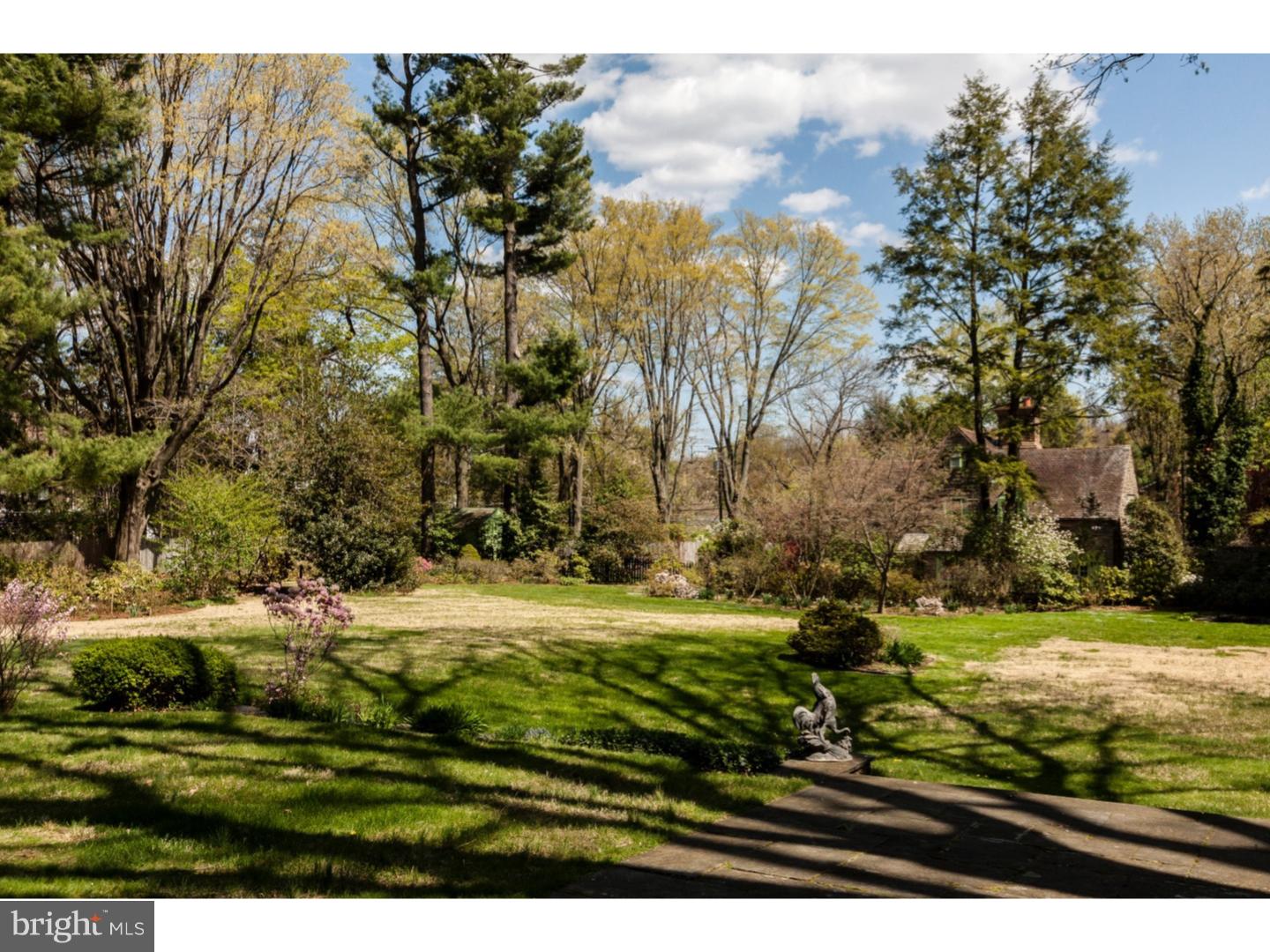 CHESTNUT HILL - Residential