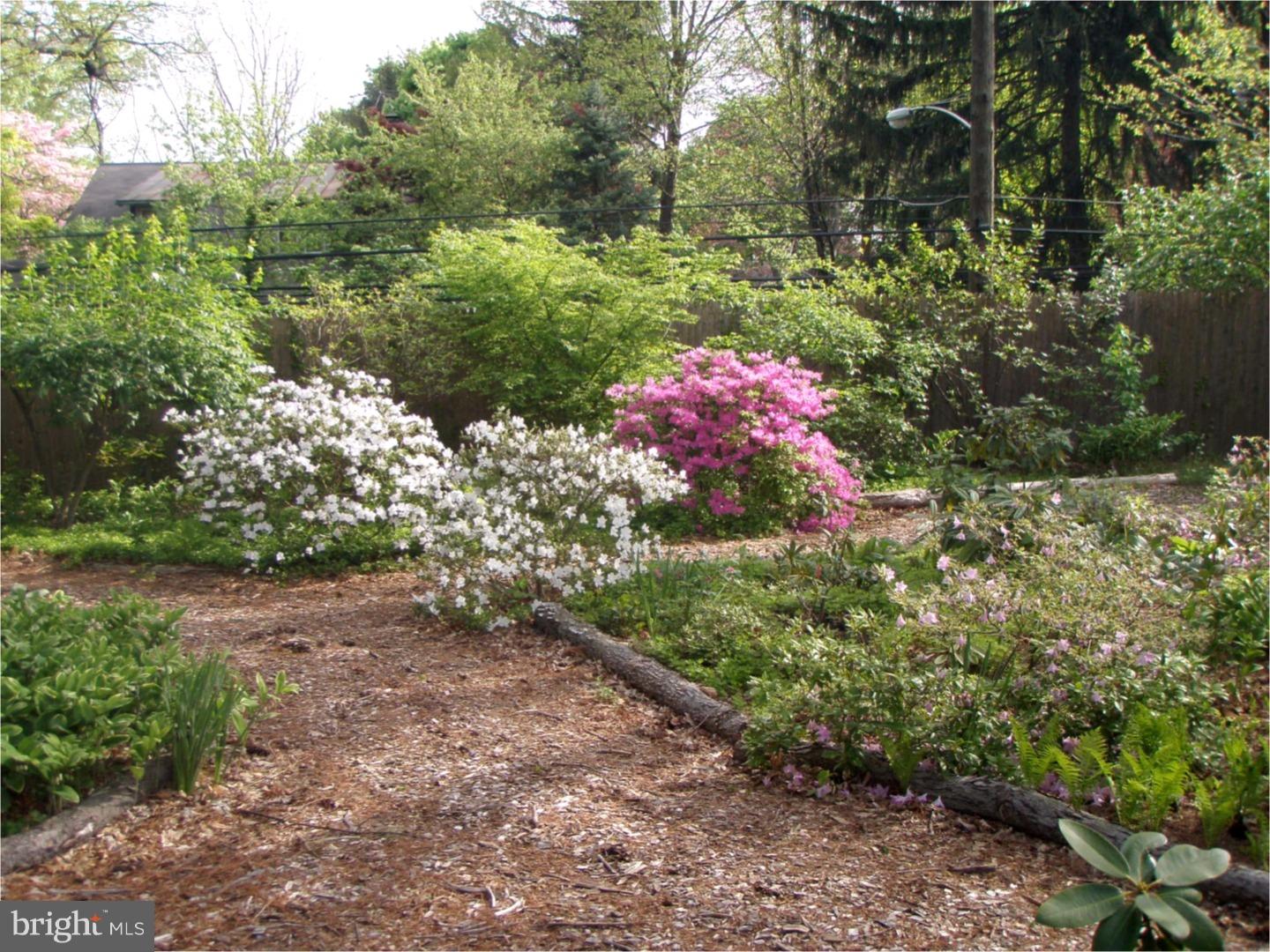 CHESTNUT HILL - Residential