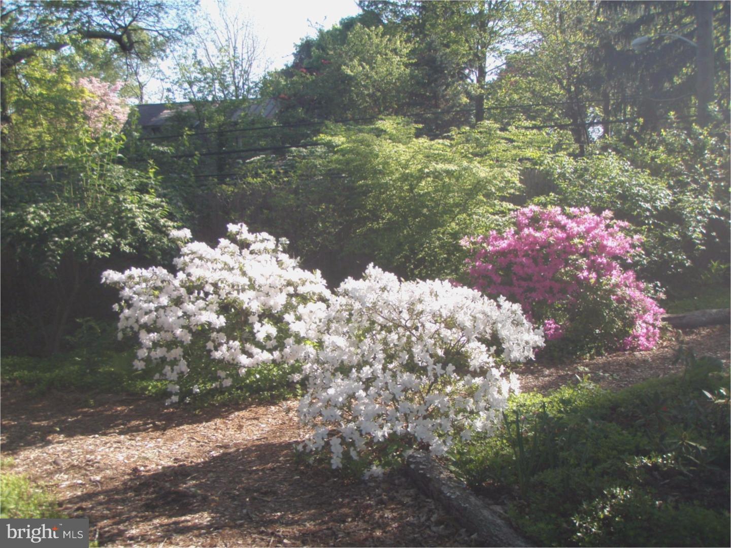 CHESTNUT HILL - Residential