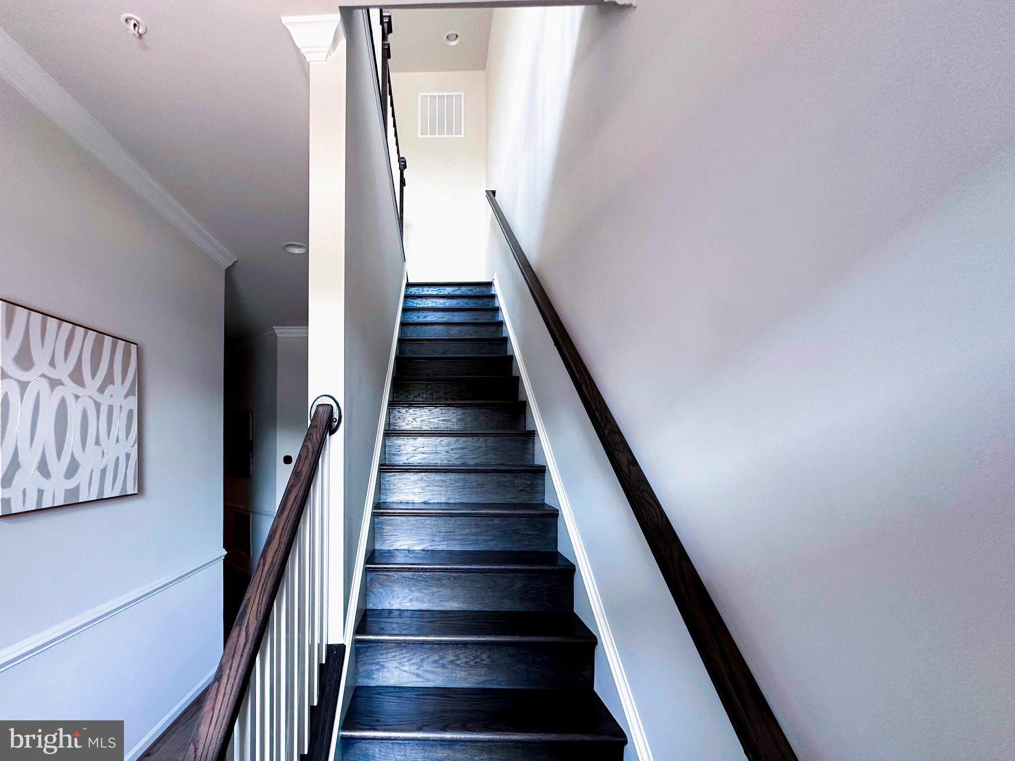 CADENCE AT LANSDOWNE - Residential