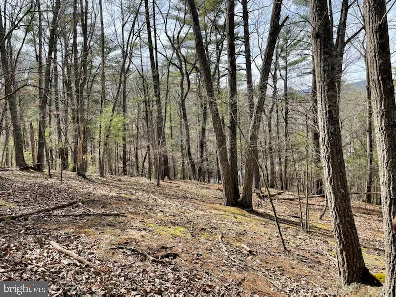 BRYCE  MOUNTAIN - Land