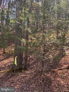 BRYCE  MOUNTAIN - Land