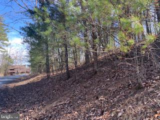 BRYCE  MOUNTAIN - Land