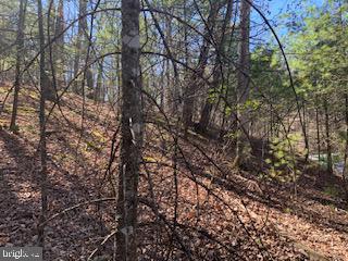 BRYCE  MOUNTAIN - Land