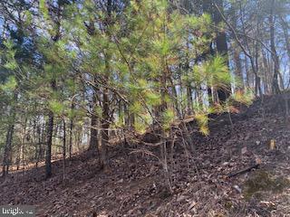 BRYCE  MOUNTAIN - Land